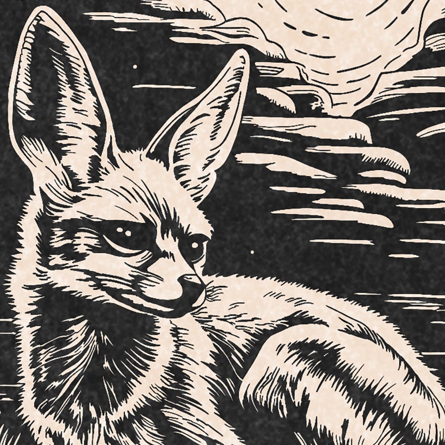 Renard fennec