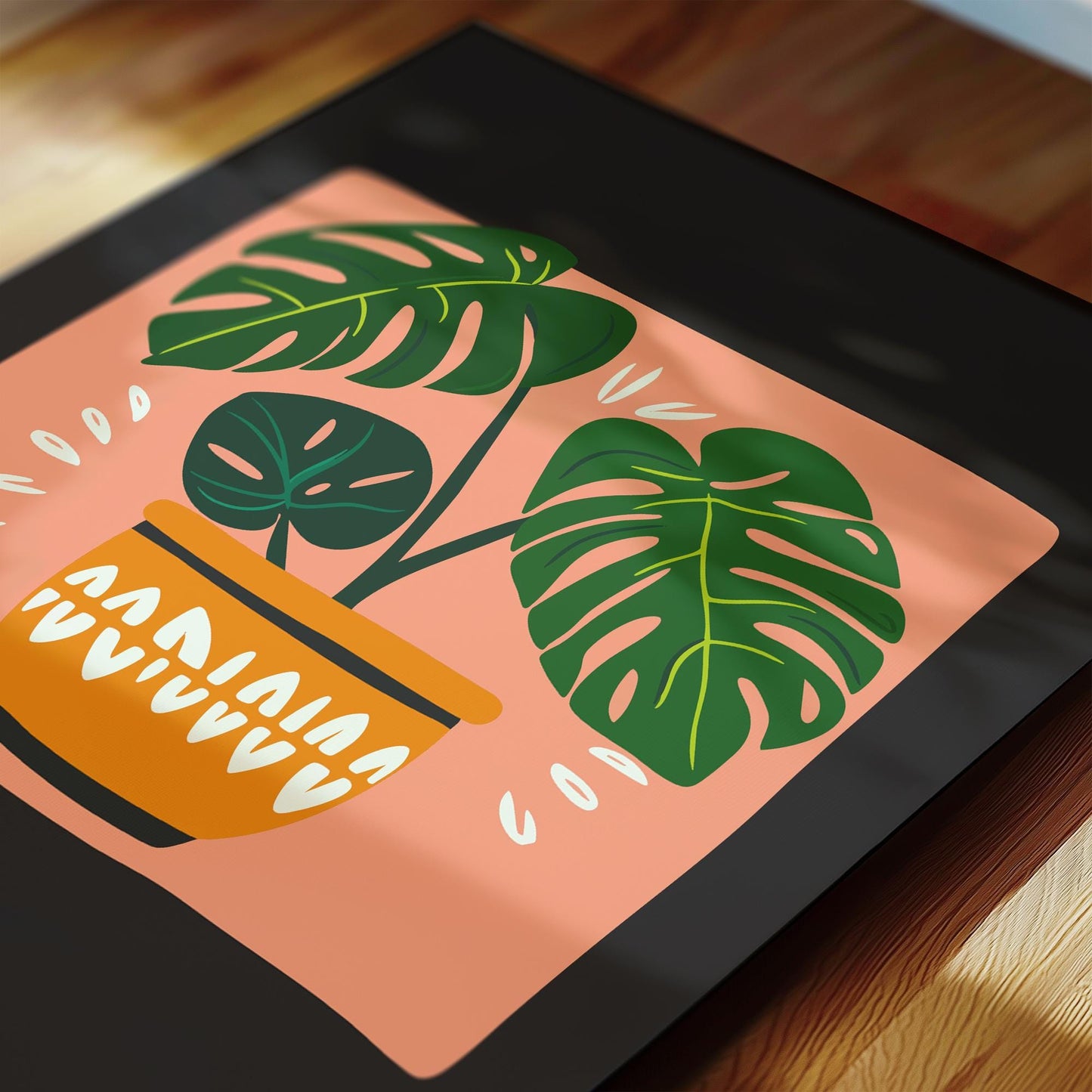 Monstera Plant