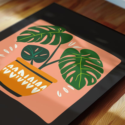 Monstera Plant