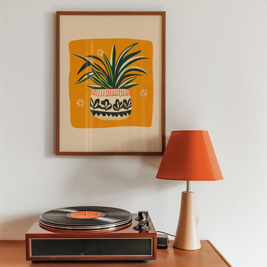 Plante araignée