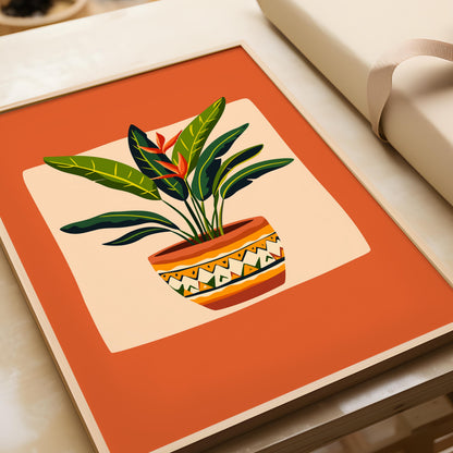 Paradise Palm Plant
