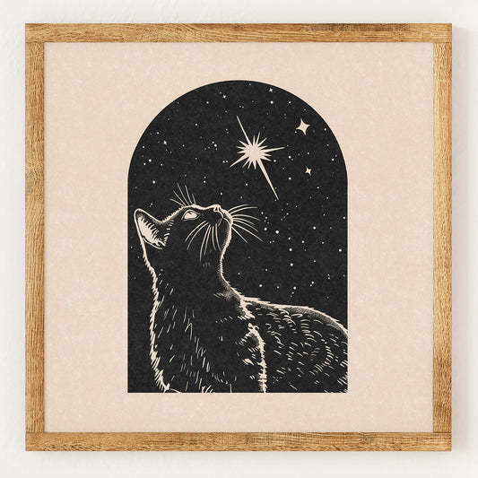 Le chat noir et les étoiles