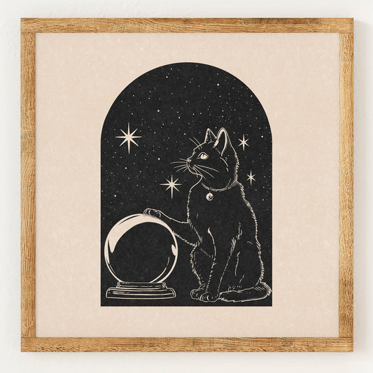 Le Chat Noir et la Boule de Cristal