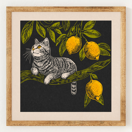 Chat citron