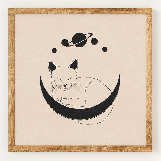 Chat de lune endormi