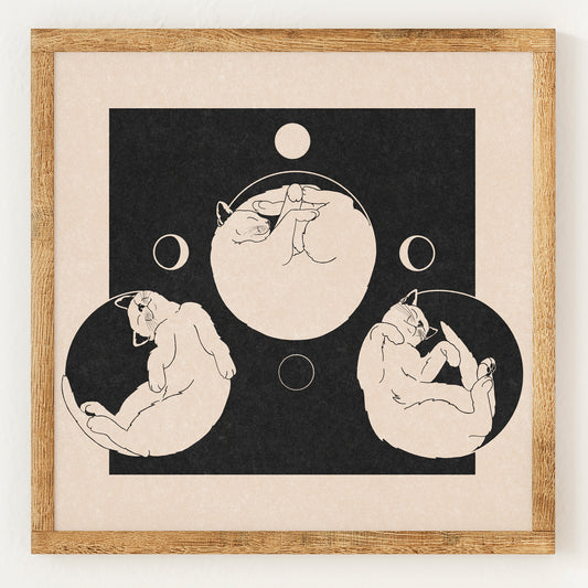 Phases de la Lune Chats