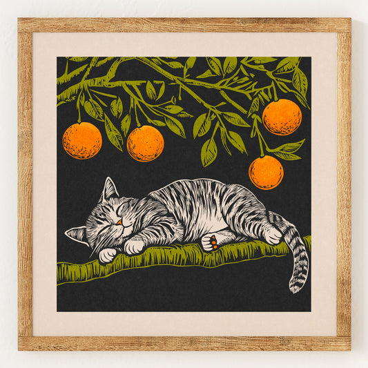 Chat orange