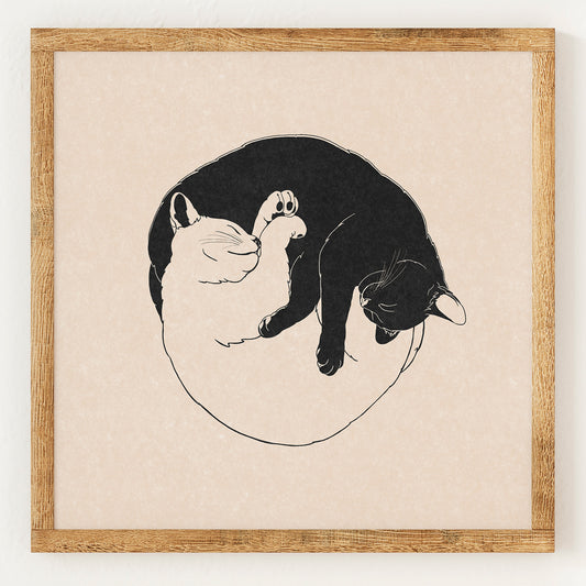 Chats Yin et Yang